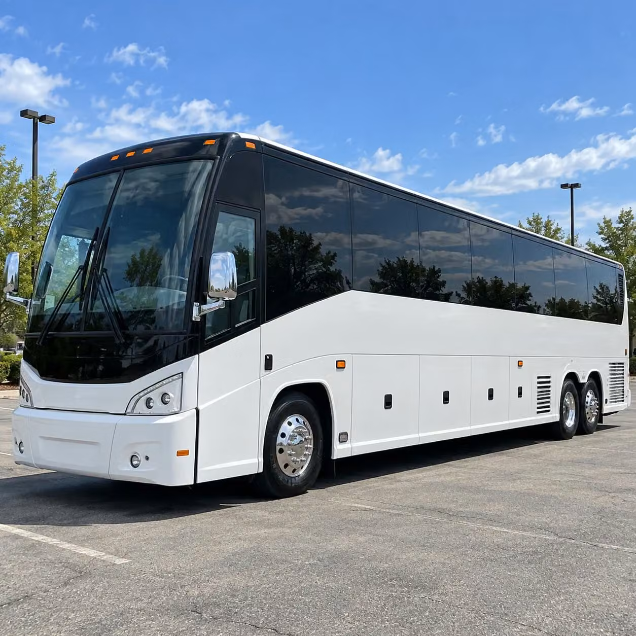 charter bus rentals for beaverton area zoo trips aquarium visits and more